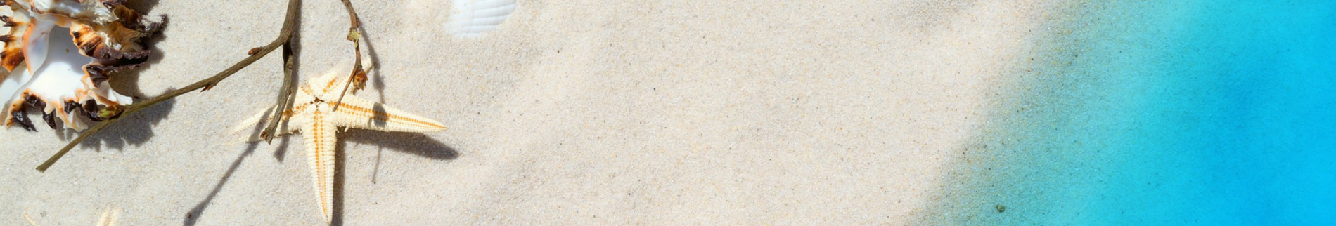 Image Alt Text