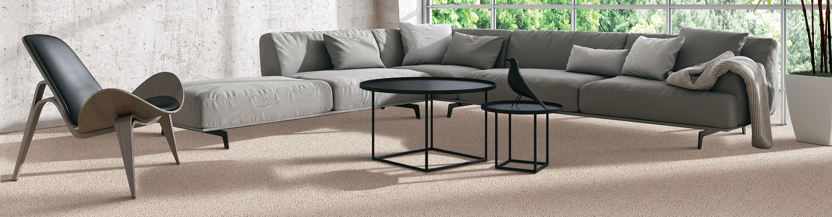 living room carpet with couch and chair